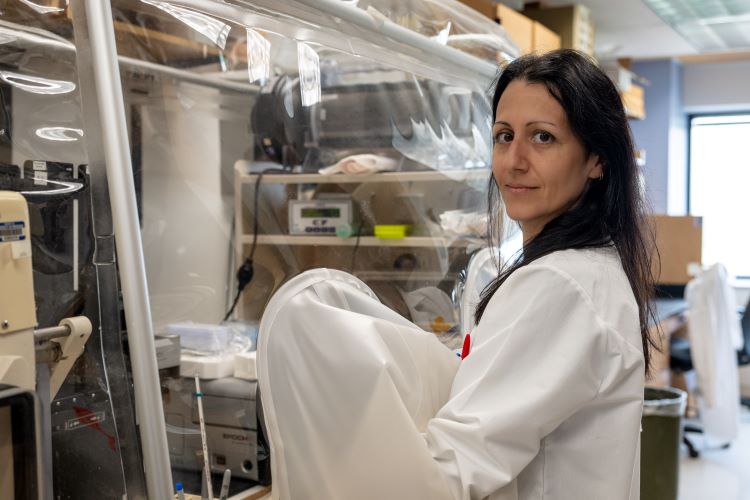 Dr. Roberta Caruso uses an anaerobic glove chamber to culture anaerobic bacteria as she studies the gut microbiome.